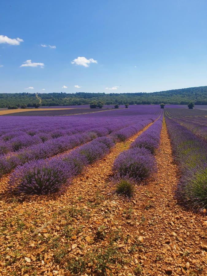 A Ventoux Yourte Monieux Bagian luar foto