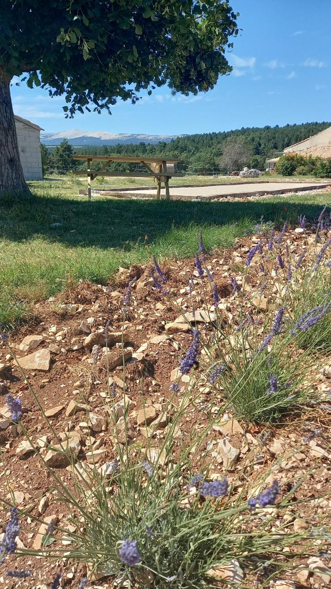 A Ventoux Yourte Monieux Bagian luar foto