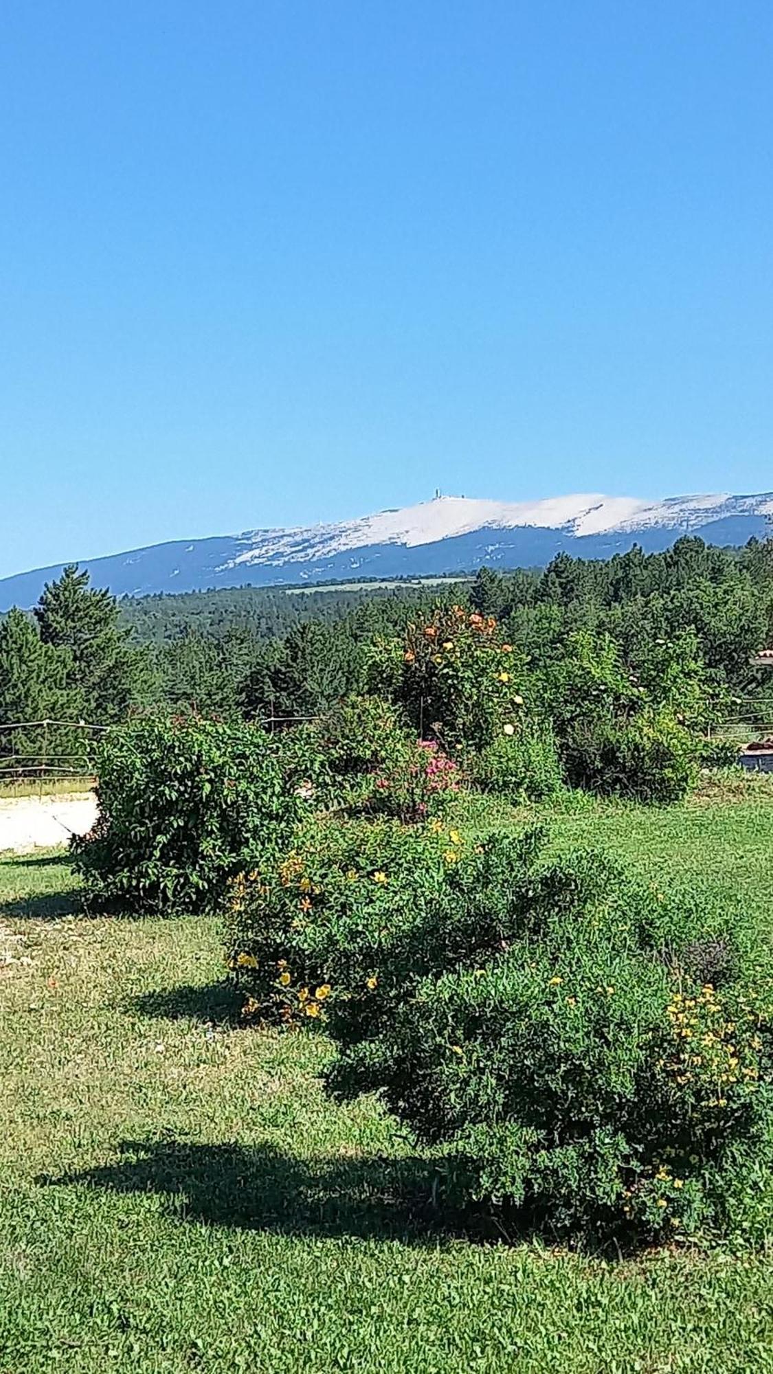 A Ventoux Yourte Monieux Bagian luar foto